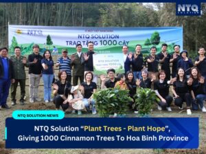 NTQ Solution “Plant Trees – Plant Hope”, Giving 1000 Cinnamon Trees To Hoa Binh Province